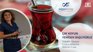 Değişken Dünyada İş Geliştirme ve İnovasyon